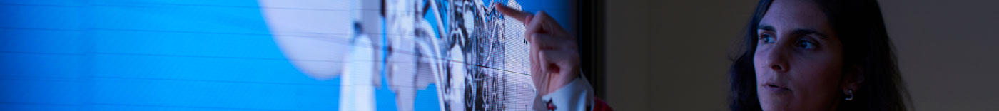 Bild zu Sanctions and Export Control Officer